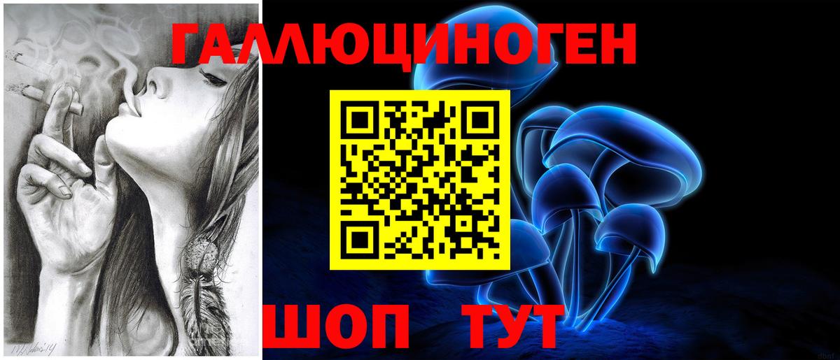 Псилоцибиновые грибы мухоморы  Вход с VPN  купить наркотики сайты  Ирбит  Псилоцибиновые грибы Psilocybine cubensis 